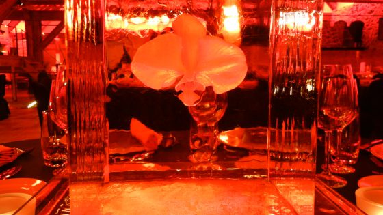 Décorations en glace