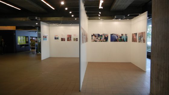 Panneaux d'affichage blancs avec éclairage et système de suspension