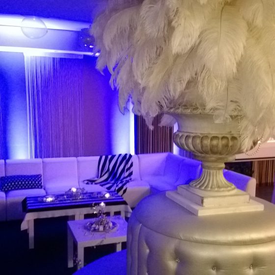 Location de décoration de soirée à thème