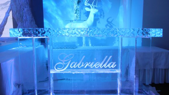 Bar en glace à Genève