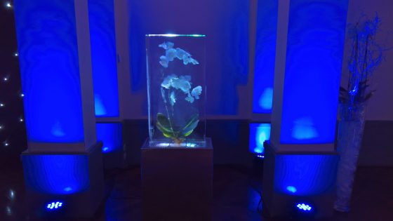Décoration en glace avec orchidée